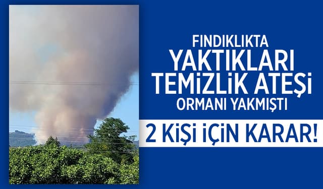Hendek'te ki orman yangınıyla ilgili 2 kişi adli kontrolle serbest