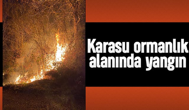 Karasu ormanlık alanında yangın