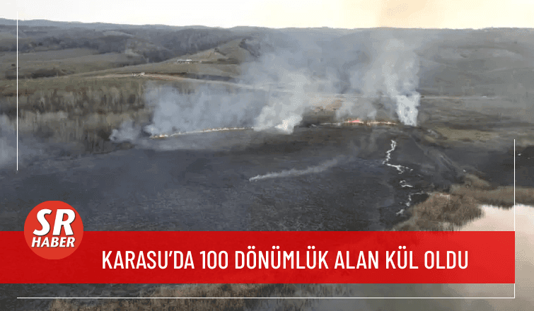 Karasu'da Devasa Orman Yangını 