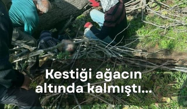Kestiği ağacın altında kalan adam hayatını kaybetti
