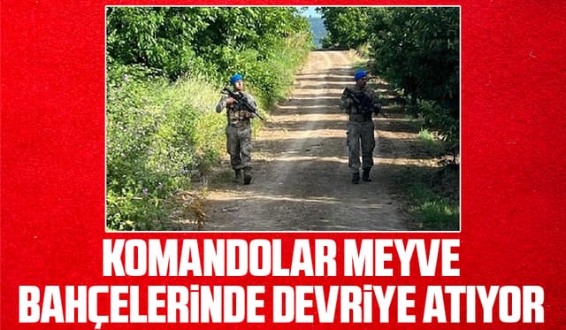 Komandolar meyve hırsızlarına karşı nöbette