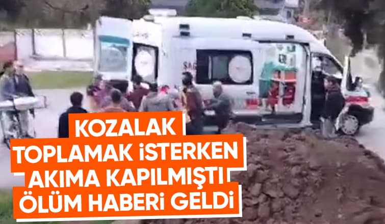 Kozalak toplamak isterken öldü