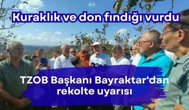 Kuraklık, fındıkta don felaketinden daha büyük tehdit