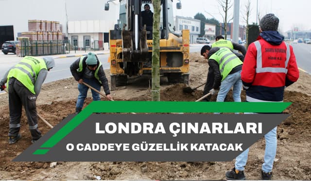 Londra Çınarları Şehit İlhan Aras’a Güzellik Katacak