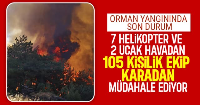 Taraklı'daki orman yangınında son durum