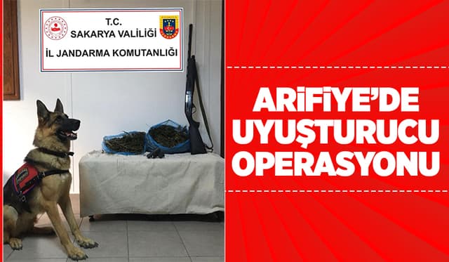 Narkotik Köpek Ekipleri Uyuşturucu Operasyonu
