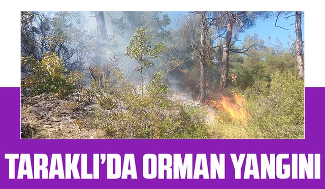 Orman yangınında 1 hektarlık alan zarar gördü