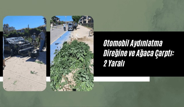 Otomobil Aydınlatma Direğine ve Ağaca Çarptı: 2 Yaralı