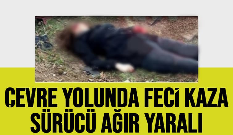 Otomobil Ağaca Çarptı: 1 Ağır Yaralı