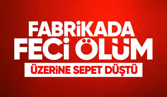 Fabrikada üzerine sepet düşen işçi öldü