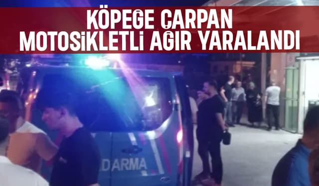 Motosikletli Sürücü, Köpeğe Çarpıp Ağır Yaralandı