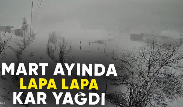 Mart ayında kış kar yağdı