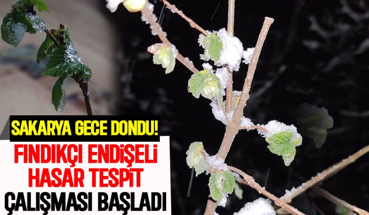 Sakarya dondu!