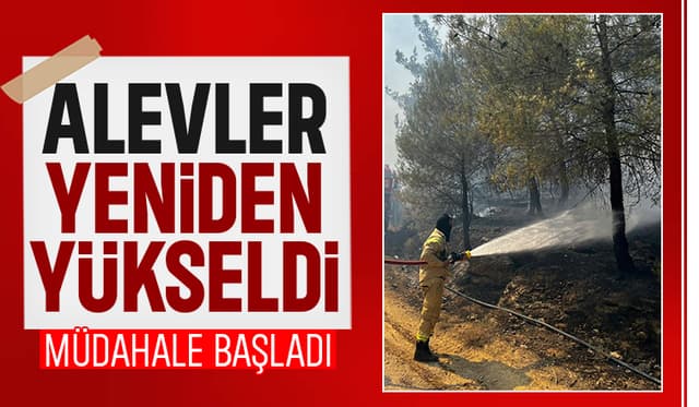 Taraklı'daki Orman Yangınında Alevler Yeniden Yükseldi