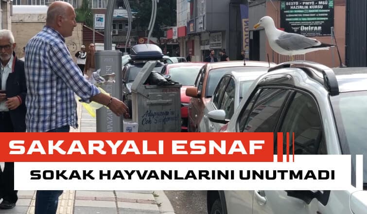 Sokak Hayvanlarını Unutmayan Sakaryalı Esnaf	