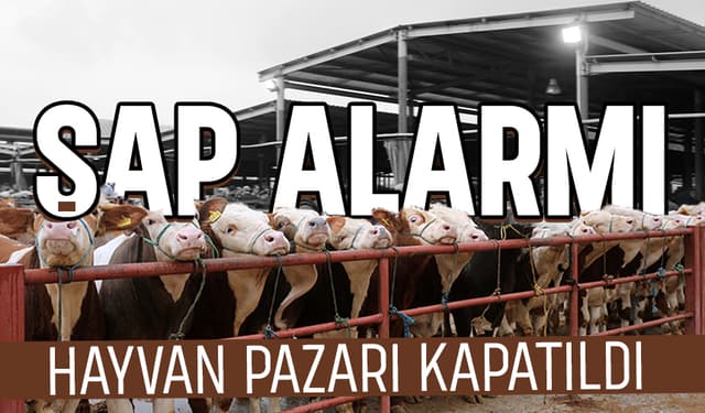 Şap Tedbiri İçin Sakarya Hayvan Pazarı Kapatıldı