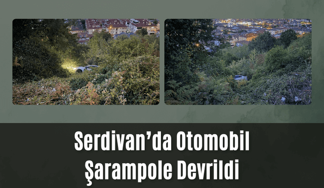 Serdivan’da Otomobil Şarampole Devrildi