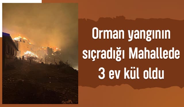 Geyve’de Yangın Felaketi: 3 Ev Kül Oldu