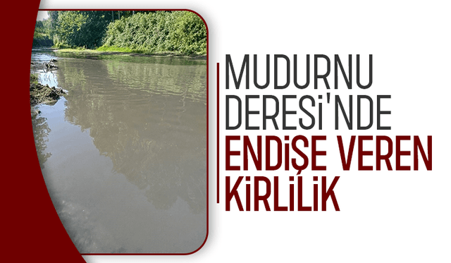 Mudurnu Deresi'nin rengi siyaha döndü