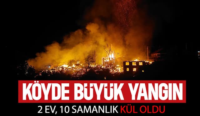 Köyde Yangın Dehşeti: 2 Ev ve 10 Samanlık Alevlere Teslim Oldu