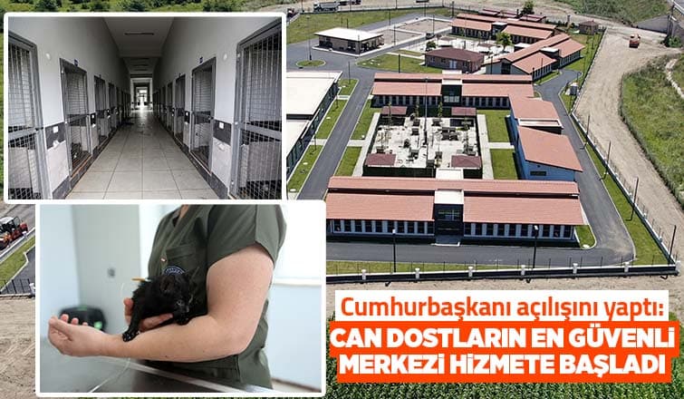 Sokak Hayvanları Hastanesi hizmete başladı