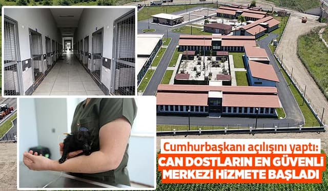 Sokak Hayvanları Hastanesi hizmete başladı