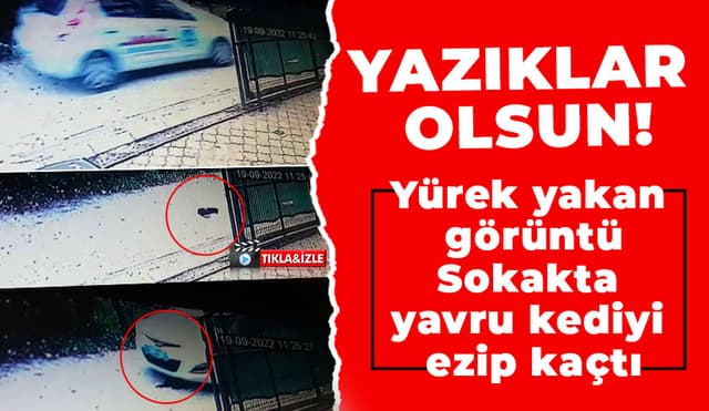 Sokakta Yavru Kediyi Ezip Kaçtı
