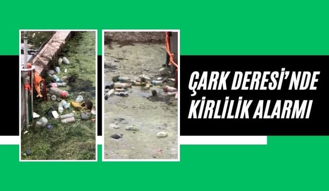 Çark Deresi'nde Kirlilik Krizi: Çöpler ve Fareler Tehlike Saçıyor