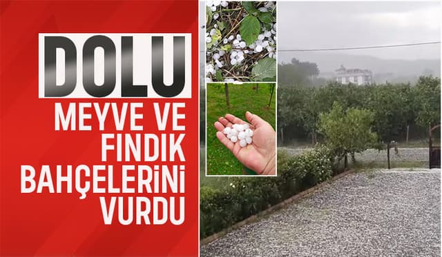Dolu yağışı fındık ve meyve bahçelerine zarar verdi