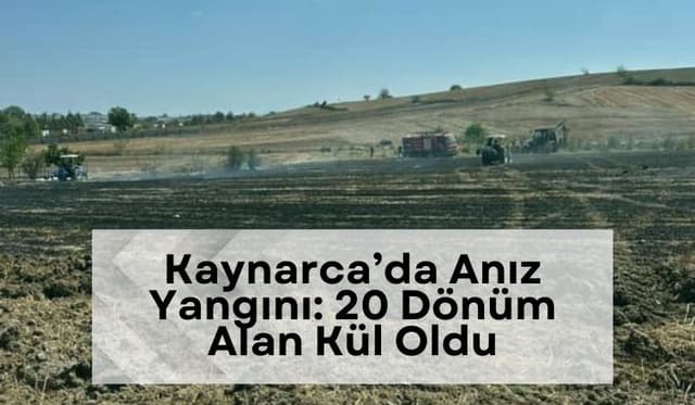 Kaynarca’da Anız Yangını: 20 Dönüm Alan Kül Oldu