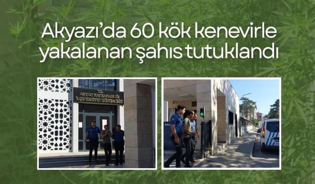 Evini Kenevir Bahçesine Çeviren Şahıs Tutuklandı