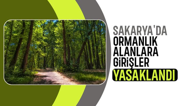 Sakarya'da ormanlık alanlara giriş yasağı