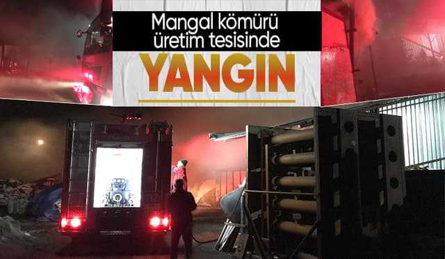 Akyazıda mangal kömürü üretim tesisinde yangın çıktı