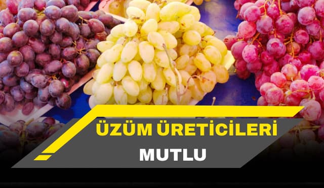 Üzüm Üreticileri Mutlu