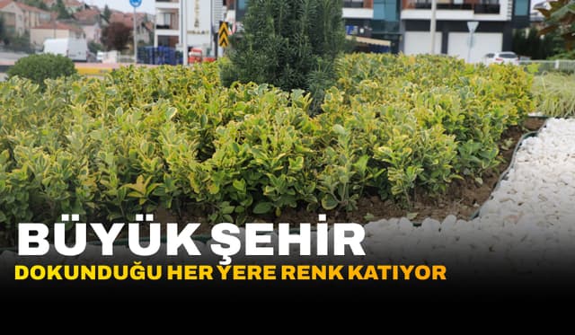 Büyükşehir Belediyesi Dokunduğu Her Yere Renk Katıyor