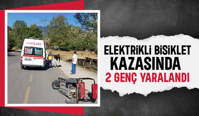 Freni tutmayıp devrildi: 2 yaralı