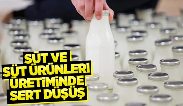 Süt ve süt ürünleri ile tavuk, yumurta üretiminde son durum