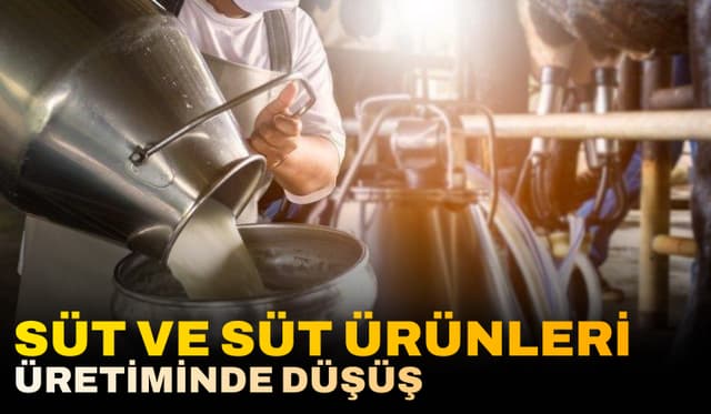 Süt ve Süt Ürünleri Üretimindeki Düşüş Derinleşti