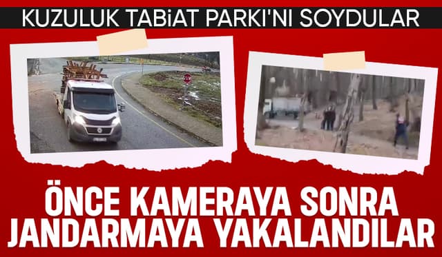 Tabiat Parkı'nı soyan hırsızlar ikinci kez hırsızlığa gelince paketlendi