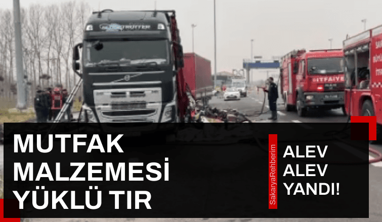 Tır alevlere teslim oldu, taşıdığı yükler küle döndü