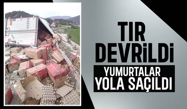 Yumurta yüklü tır devrildi