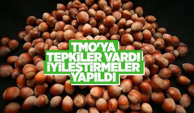 TMO Fındık Alımında İyileştirme Yaptı