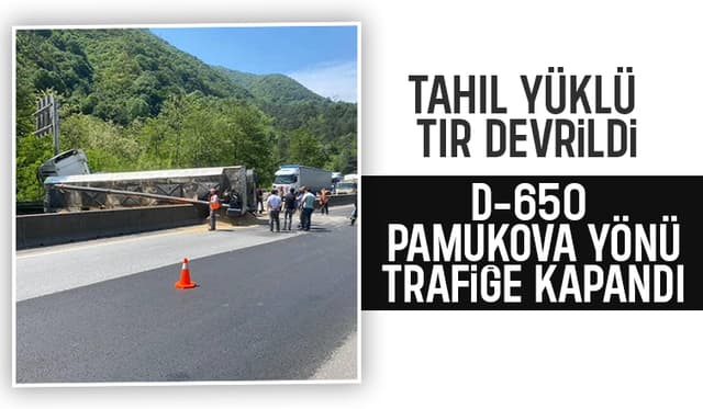 D-650'de tahıl yüklü tır devrildi