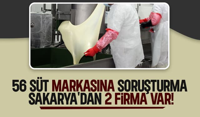 Rekabet'ten süt pazarına  soruşturma; Sakarya'dan 2 firma var