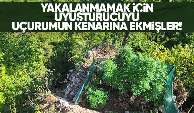 Jandarmadan zehir tacirlerine darbe