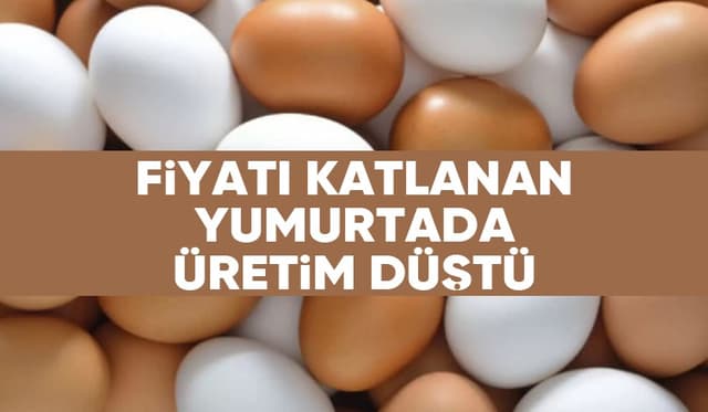 Fiyatı uçan yumurtada üretim azaldı