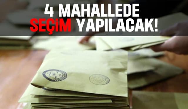 Sakarya'da 4 mahallede seçim yapılacak
