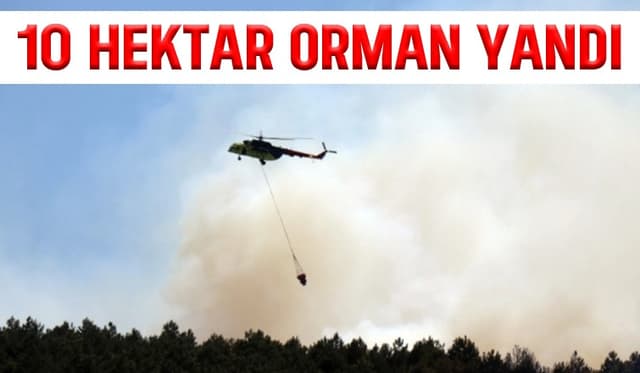 Söğütlü'de 10 hektar orman kül oldu