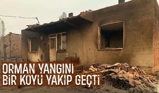 Orman yangını bir köyü yuttu