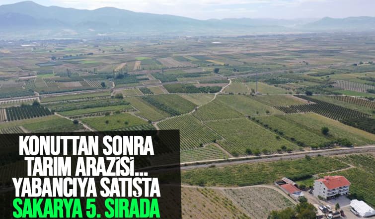 Yabancılara tarım arazisi satışında Sakarya ilk 5'te